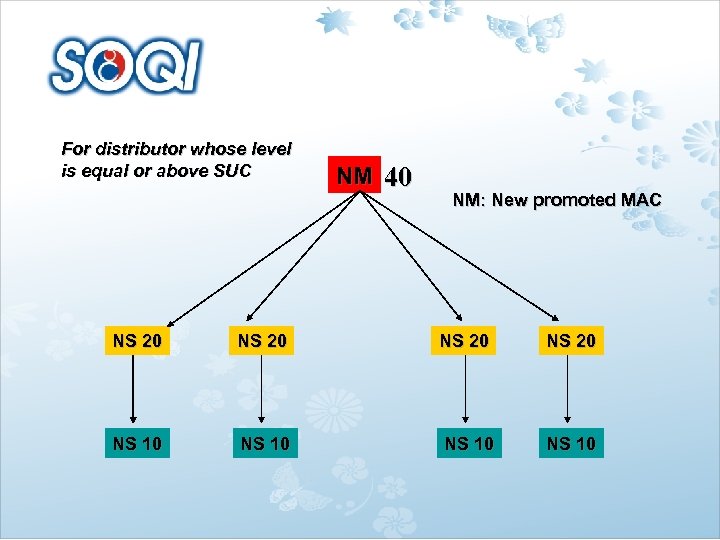 For distributor whose level is equal or above SUC NS 20 NS 10 NM