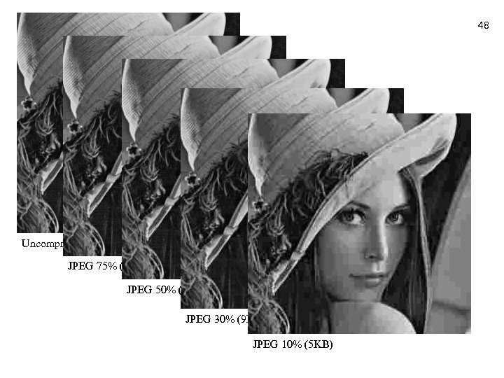 48 Uncompressed (100 KB) JPEG 75% (18 KB) JPEG 50% (12 KB) JPEG 30%