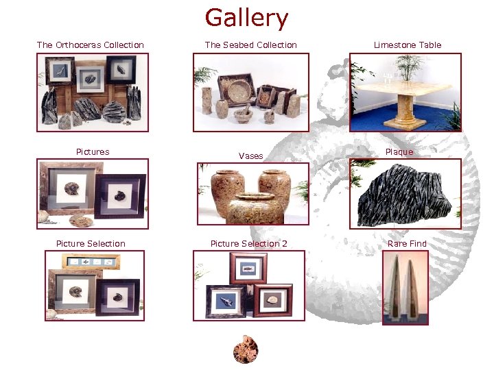 Gallery The Orthoceras Collection The Seabed Collection Pictures Vases Picture Selection 2 Limestone Table