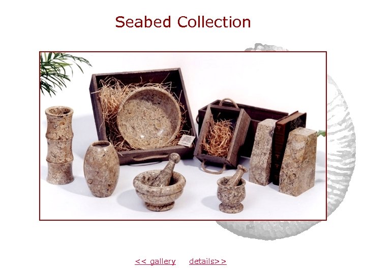 Seabed Collection << gallery details>> 