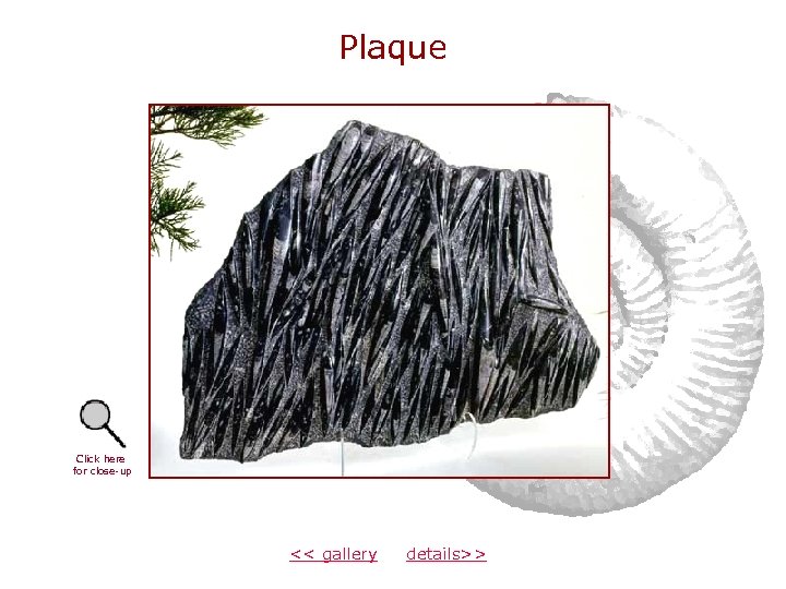 Plaque Click here for close-up << gallery details>> 