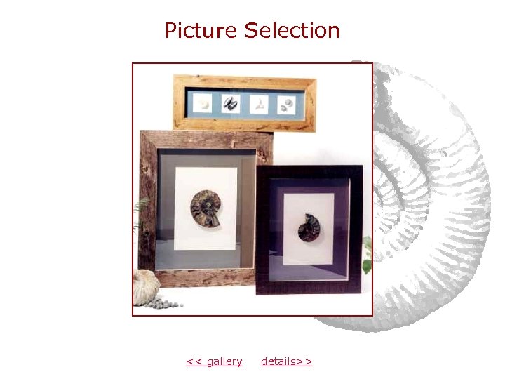 Picture Selection << gallery details>> 