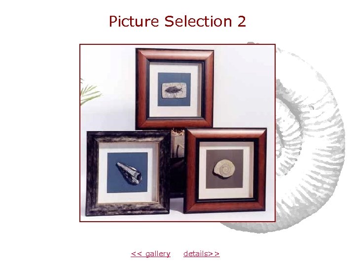 Picture Selection 2 << gallery details>> 