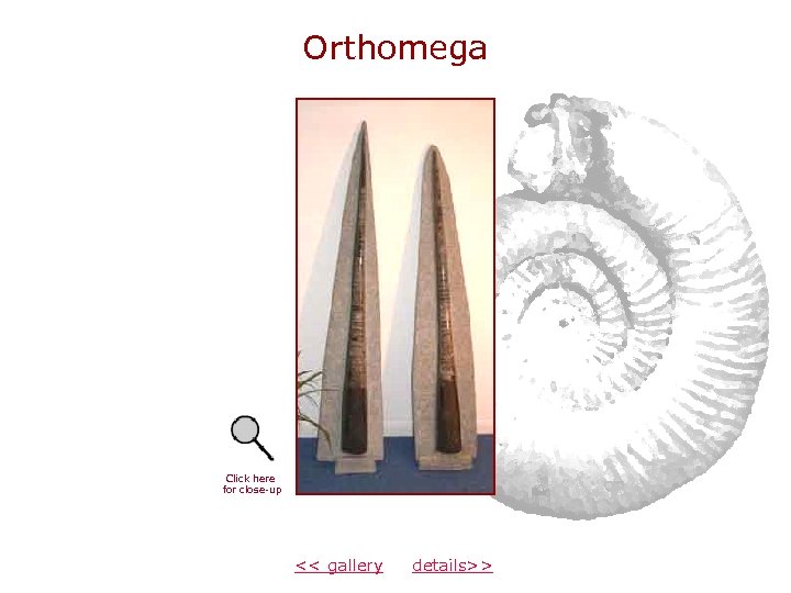 Orthomega Click here for close-up << gallery details>> 