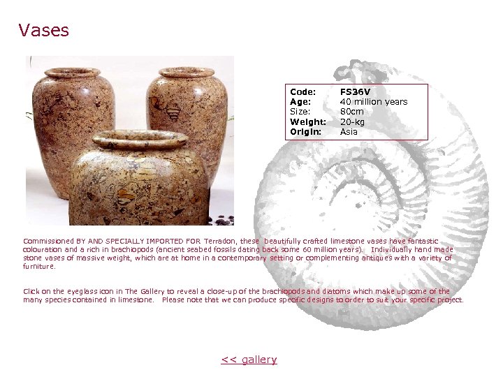 Vases Code: Age: Size: Weight: Origin: FS 36 V 40 million years 80 cm