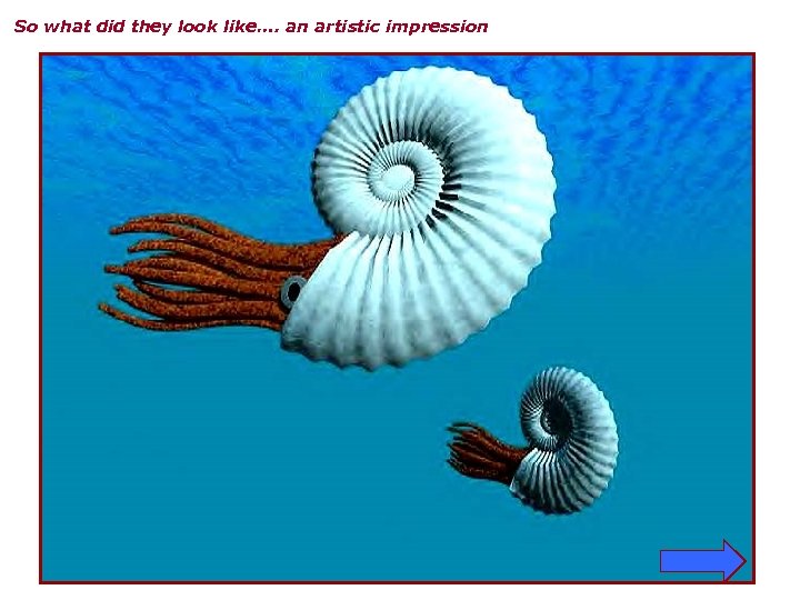 So what did they look like…. an artistic impression 