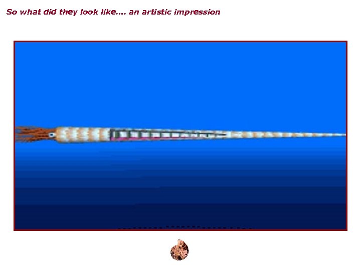 So what did they look like…. an artistic impression 