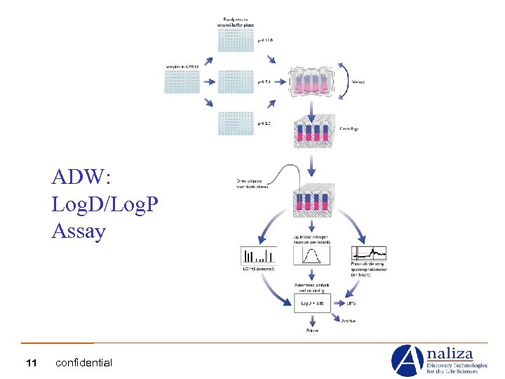 ADW: Log. D/Log. P Assay 11 confidential 