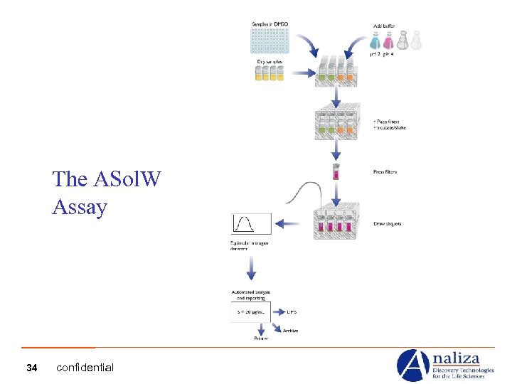 The ASol. W Assay 34 confidential 