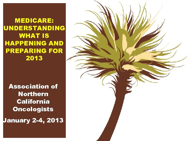 MEDICARE: UNDERSTANDING WHAT IS HAPPENING AND PREPARING FOR 2013 Association of Northern California Oncologists