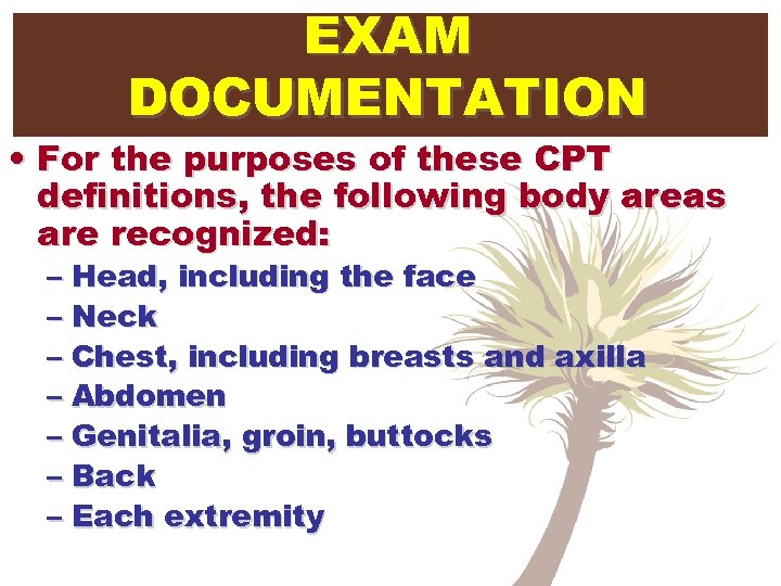 EXAM DOCUMENTATION • For the purposes of these CPT definitions, the following body areas