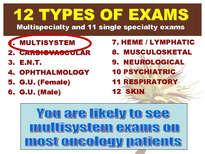 12 TYPES OF EXAMS Multispecialty and 11 single specialty exams 1. 2. 3. 4.