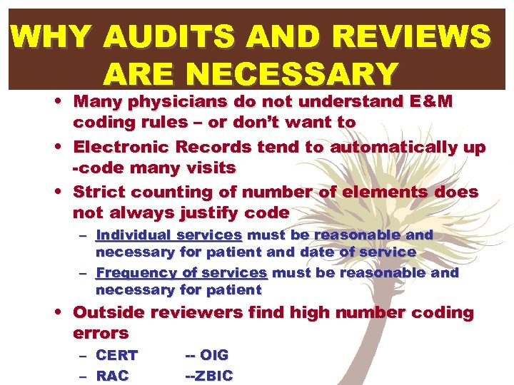 WHY AUDITS AND REVIEWS ARE NECESSARY • Many physicians do not understand E&M coding