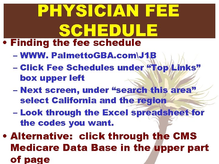 PHYSICIAN FEE SCHEDULE • Finding the fee schedule – WWW. Palmetto. GBA. comJ 1
