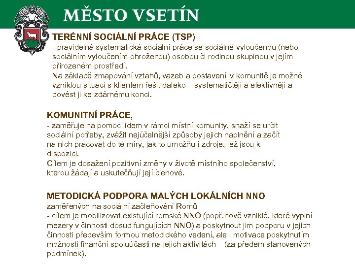 TERÉNNÍ SOCIÁLNÍ PRÁCE (TSP) - pravidelná systematická sociální práce se sociálně vyloučenou (nebo sociálním