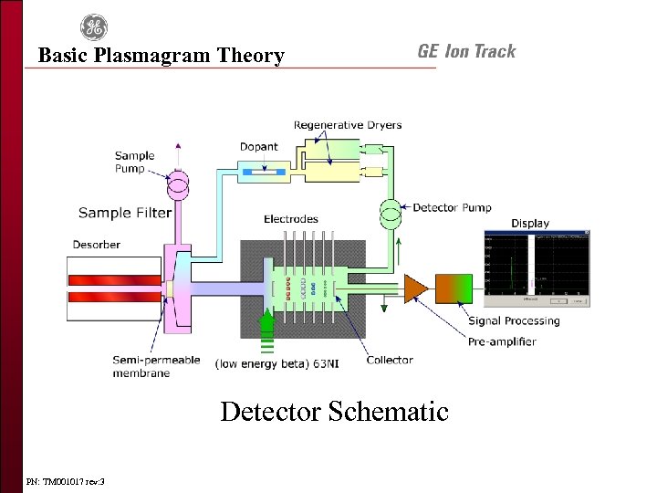 Basic Plasmagram Theory Detector Schematic PN: TM 001017 rev: 3 
