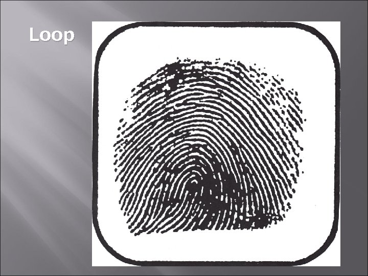 Loop 