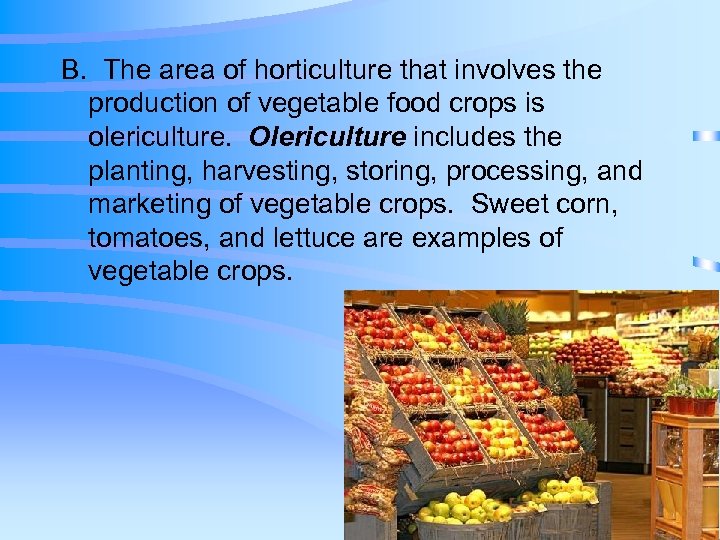 B. The area of horticulture that involves the production of vegetable food crops is