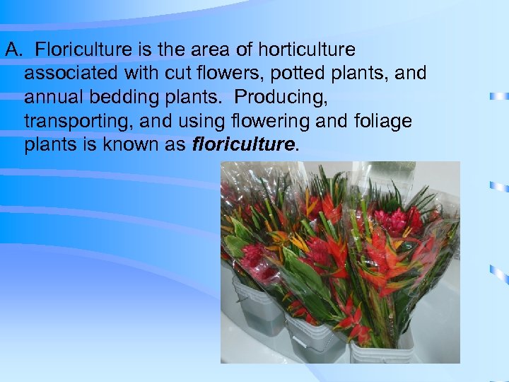 A. Floriculture is the area of horticulture associated with cut flowers, potted plants, and