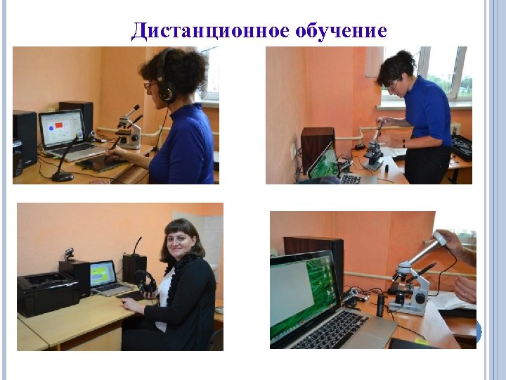 Дистанционное обучение 