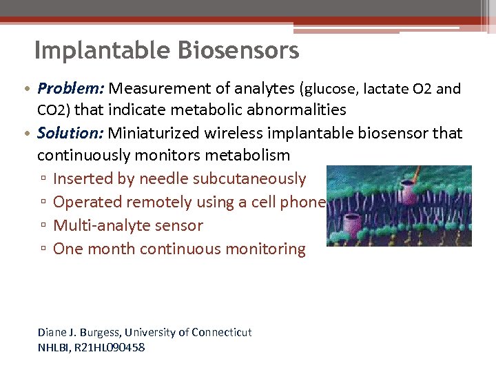 Implantable Biosensors • Problem: Measurement of analytes (glucose, lactate O 2 and CO 2)