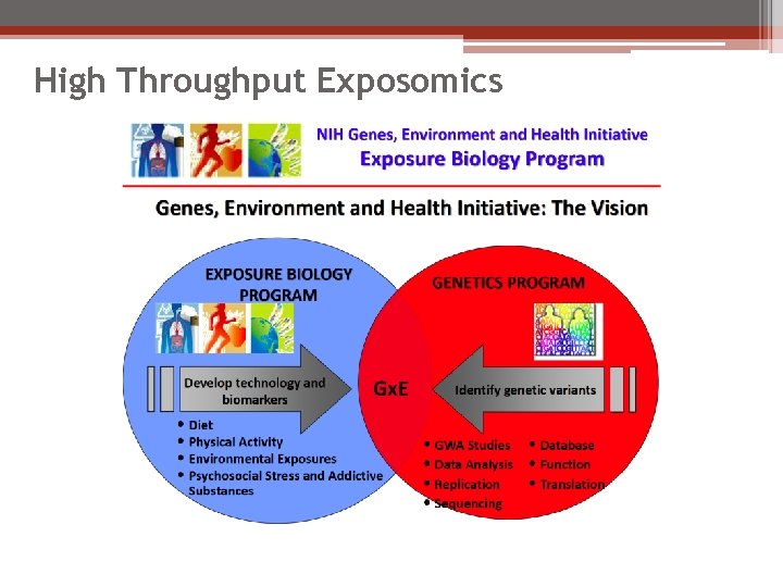 High Throughput Exposomics 