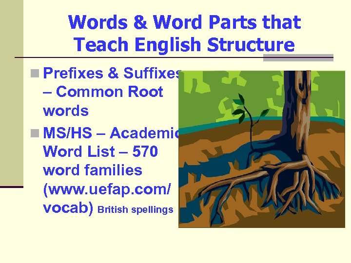 Words & Word Parts that Teach English Structure n Prefixes & Suffixes – Common