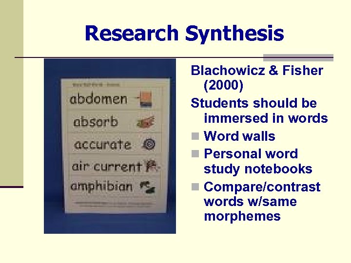 Research Synthesis Blachowicz & Fisher (2000) Students should be immersed in words n Word