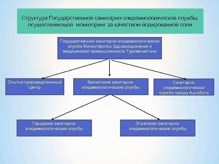 Какое министерство осуществляет общее руководство государственной системы экологического мониторинга