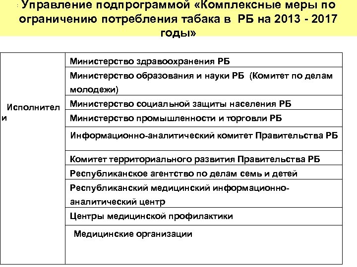 : Управление подпрограммой «Комплексные меры по ограничению потребления табака в РБ на 2013 -