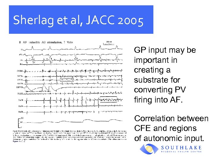Sherlag et al, JACC 2005 GP input may be important in creating a substrate