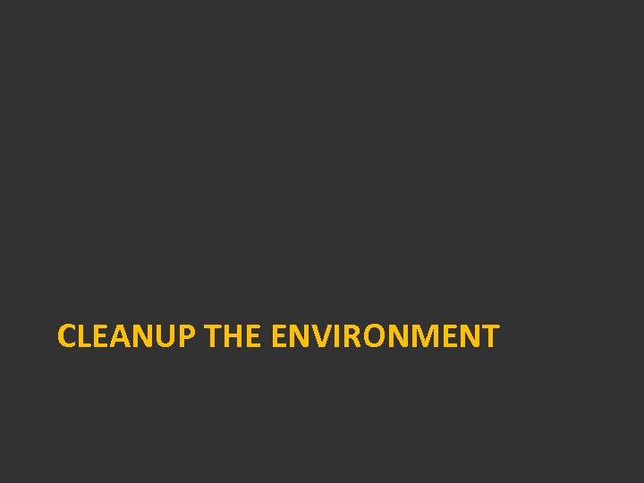 CLEANUP THE ENVIRONMENT 