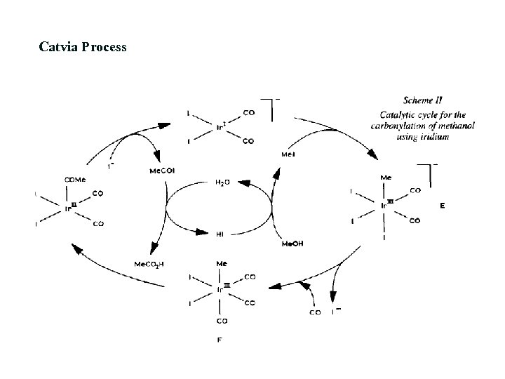 Catvia Process 