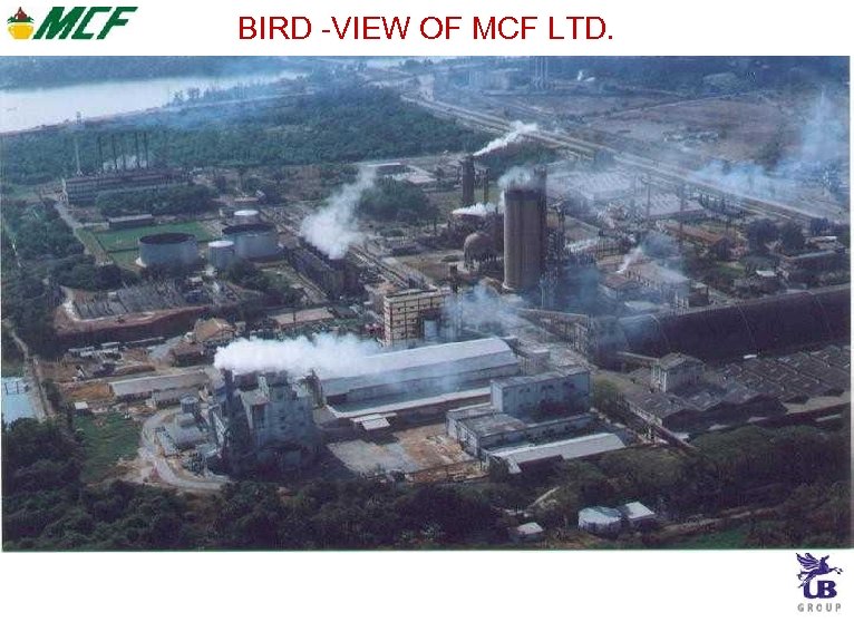 BIRD -VIEW OF MCF LTD. 