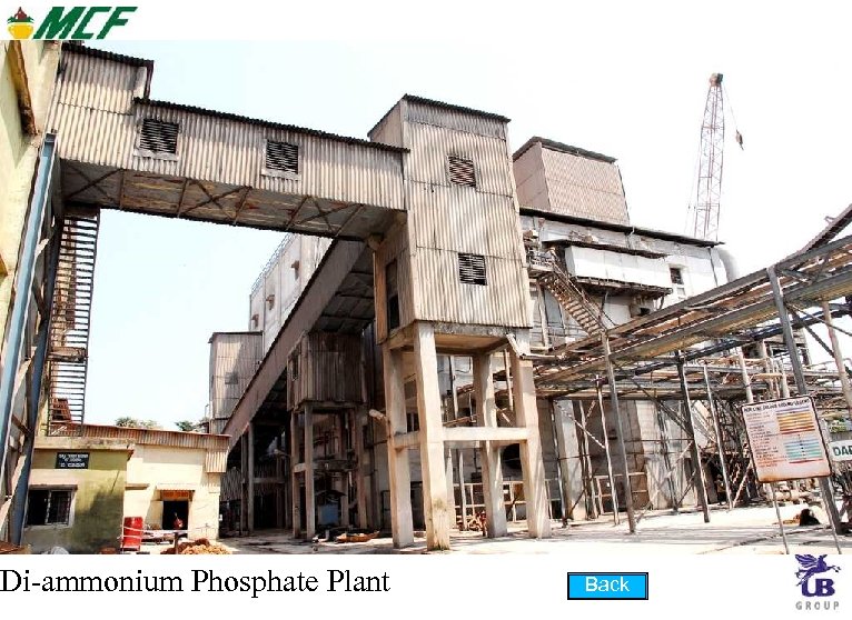 Di-ammonium Phosphate Plant Back 