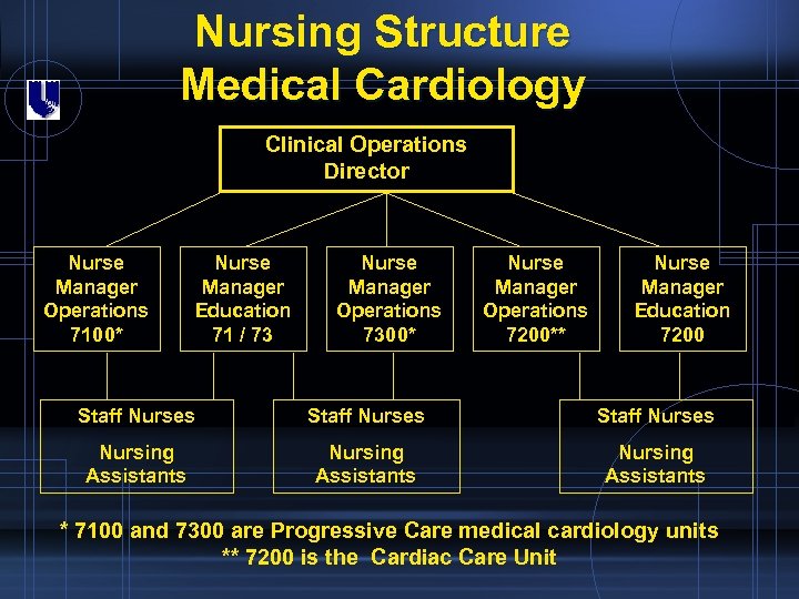 Nursing Structure Medical Cardiology Clinical Operations Director Nurse Manager Operations 7100* Nurse Manager Education