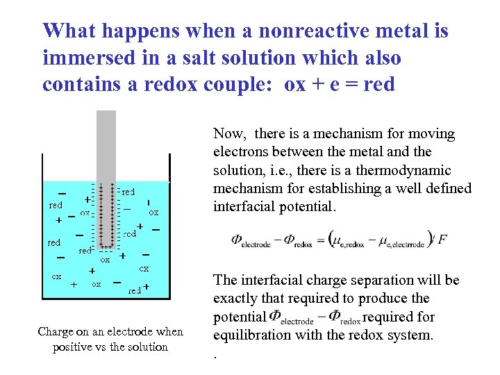 What happens when a nonreactive metal is immersed in a salt solution which also