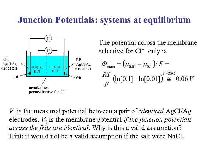 Junction Potentials: systems at equilibrium The potential across the membrane selective for Cl only
