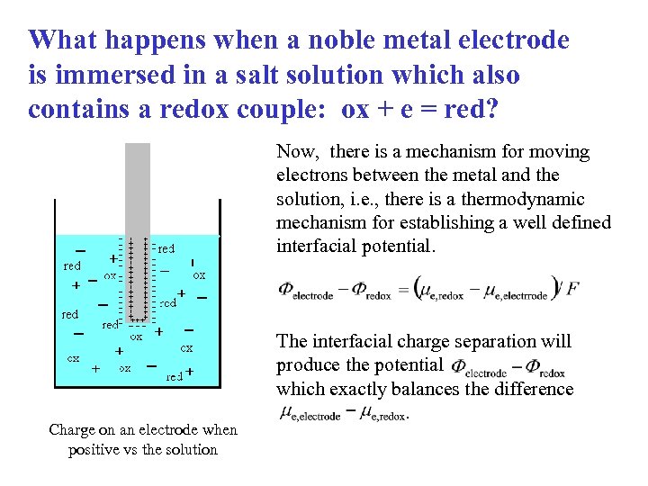 What happens when a noble metal electrode is immersed in a salt solution which
