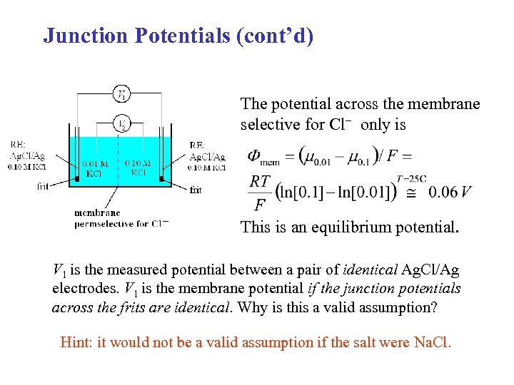 Junction Potentials (cont’d) The potential across the membrane selective for Cl only is This
