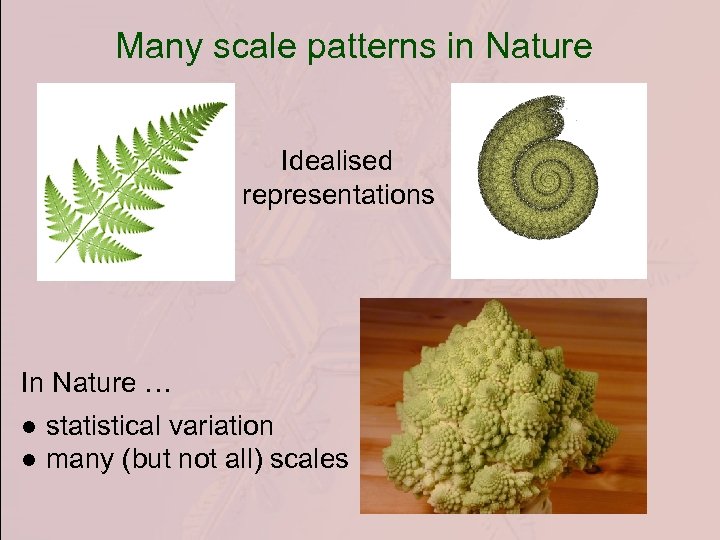 Many scale patterns in Nature Idealised representations In Nature … ● statistical variation ●