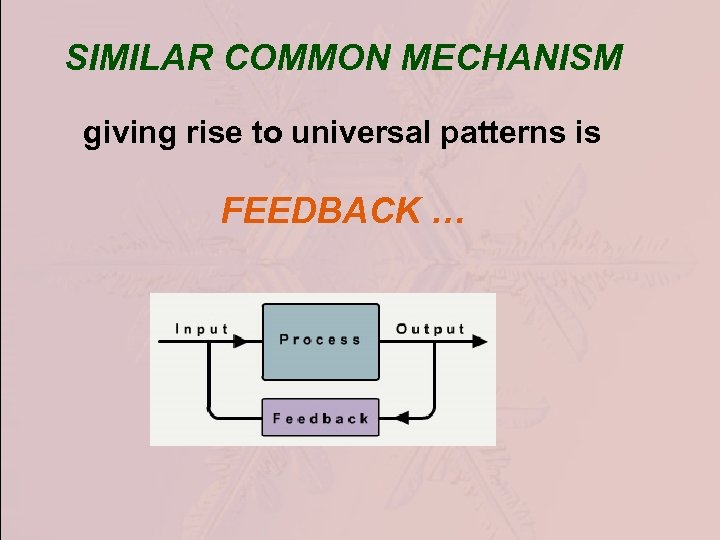 SIMILAR COMMON MECHANISM giving rise to universal patterns is FEEDBACK … 
