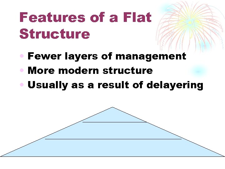 Features of a Flat Structure • Fewer layers of management • More modern structure