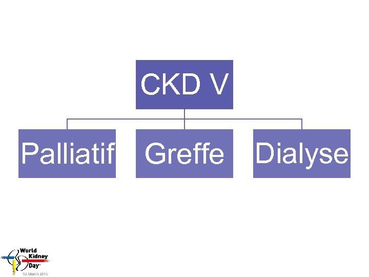 CKD V Palliatif Greffe Dialyse 