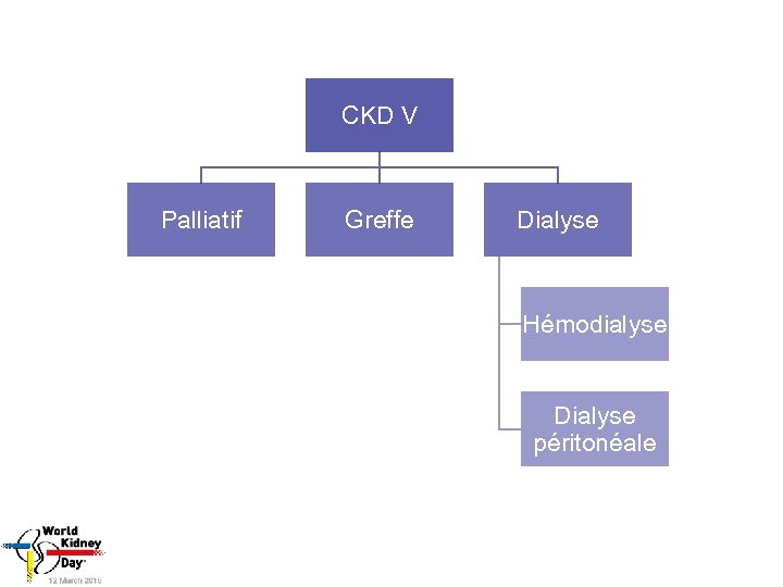 CKD V Palliatif Greffe Dialyse Hémodialyse Dialyse péritonéale 