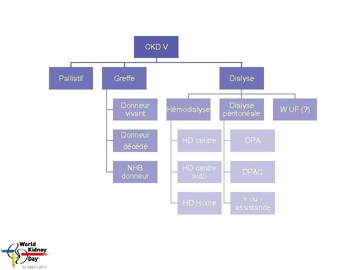 CKD V Palliatif Greffe Donneur vivant Dialyse Hémodialyse Dialyse péritonéale Donneur décédé HD centre