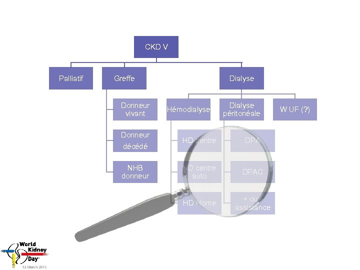 CKD V Palliatif Greffe Donneur vivant Dialyse Hémodialyse Dialyse péritonéale Donneur décédé HD centre