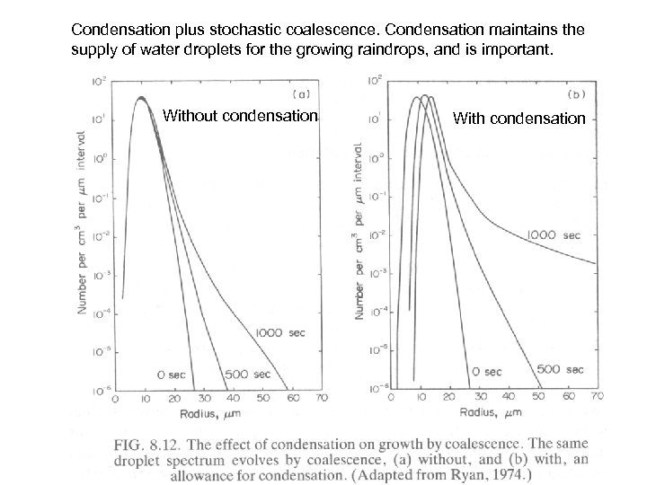 Condensation plus stochastic coalescence. Condensation maintains the supply of water droplets for the growing