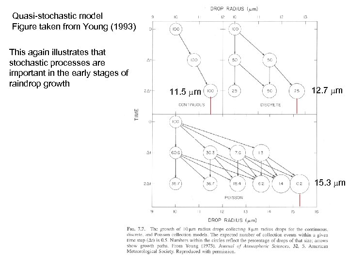 Quasi-stochastic model Figure taken from Young (1993) This again illustrates that stochastic processes are