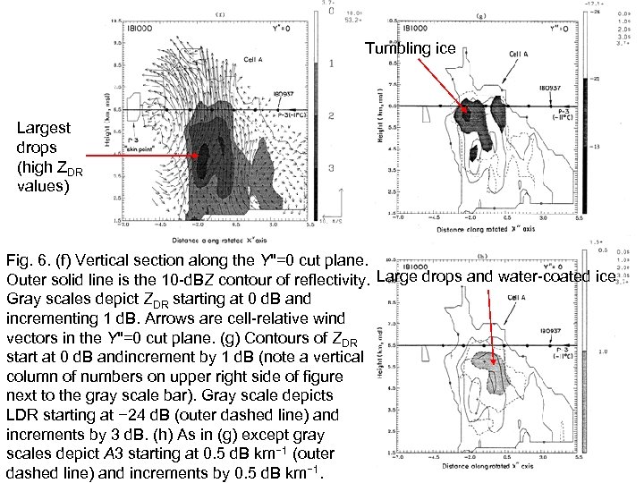 Tumbling ice Largest drops (high ZDR values) Fig. 6. (f) Vertical section along the